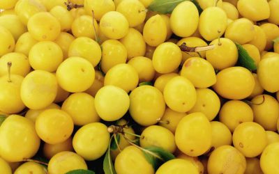 Mirabelle Plums